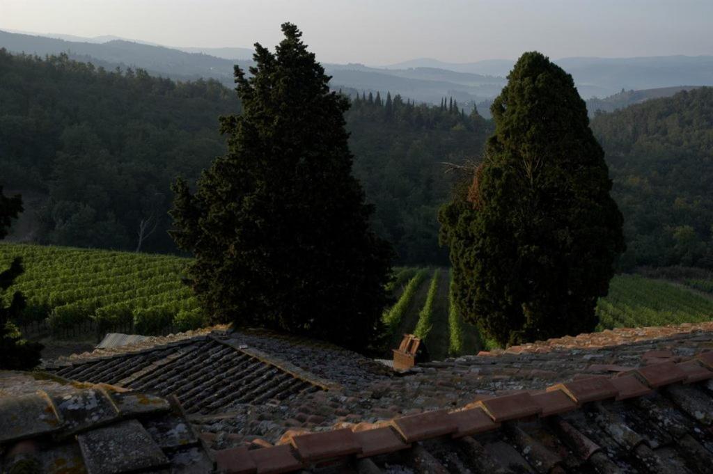Poggio Al Sole Villa Badia A Passigano Dış mekan fotoğraf
