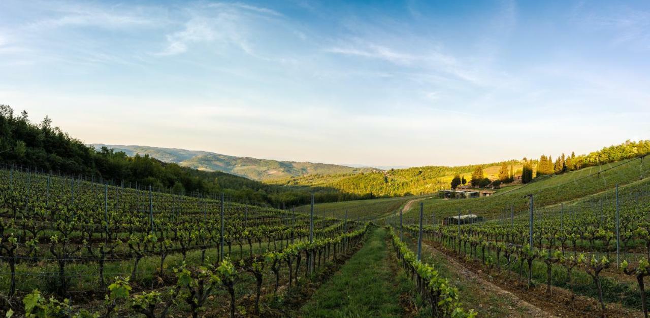 Poggio Al Sole Villa Badia A Passigano Dış mekan fotoğraf